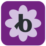 bloomerang