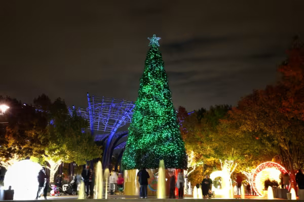 image for Rockin' Around the Circle card